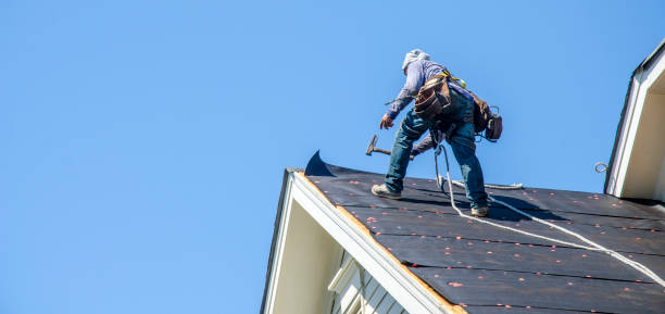 Best Roof Gutter Cleaning  in Bridgeport, TX